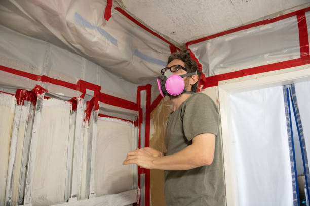 Mold Remediation for Rental Properties in Chester, PA