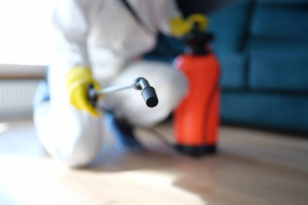 Chester, PA Mold Removal Company